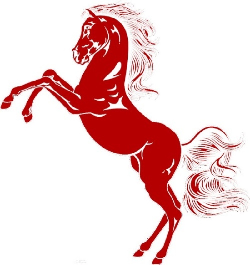 Chọn tuổi xông đất năm 2026 cho tuổi Ngọ