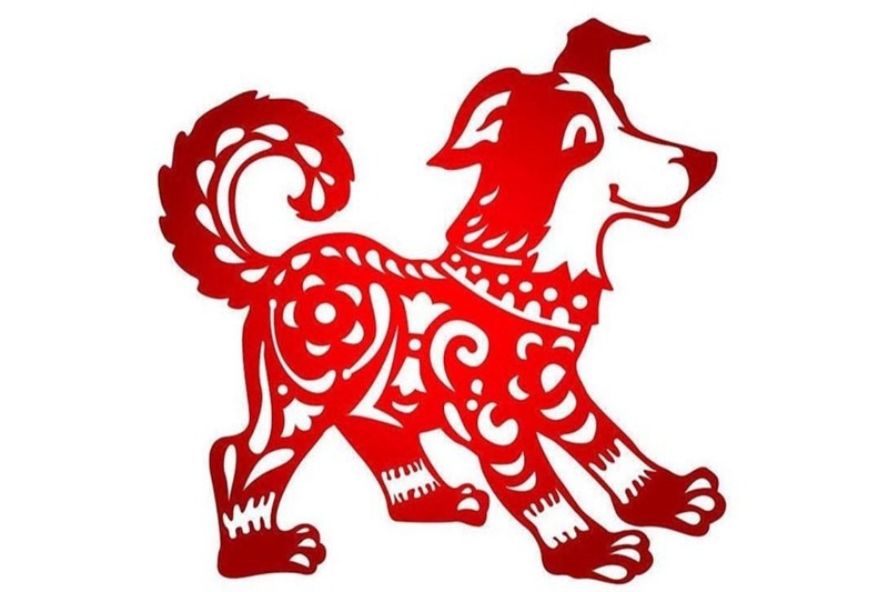 Chọn tuổi xông đất năm 2026 cho tuổi Tuất