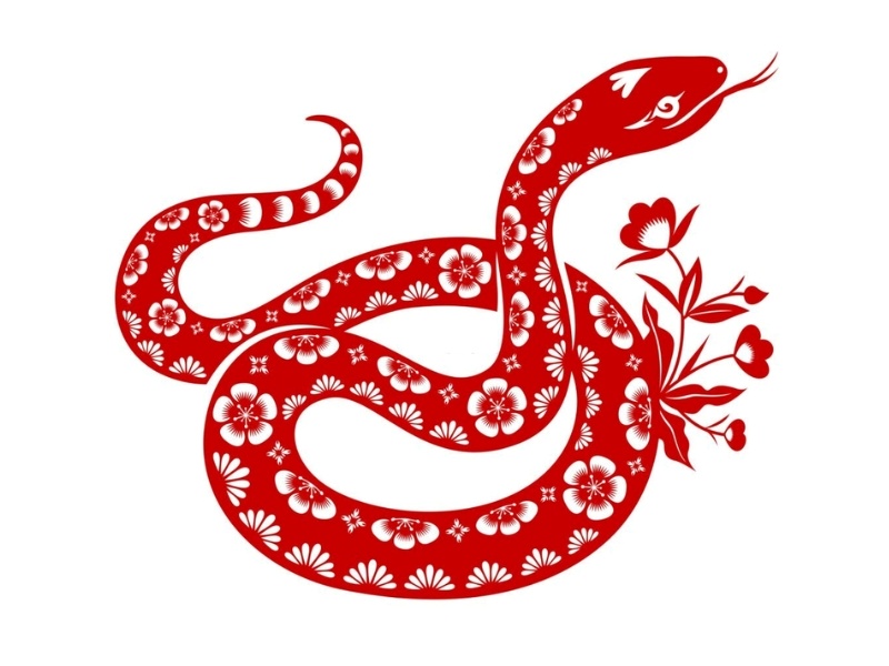 Chọn tuổi xông đất năm 2026 cho tuổi Tỵ