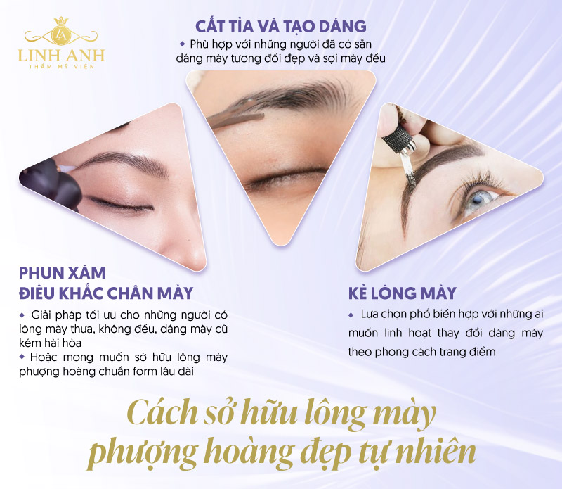 đặc điểm lông mày phượng hoàng