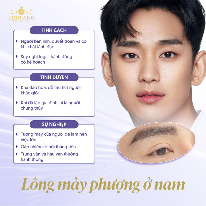 đặc điểm lông mày phượng
