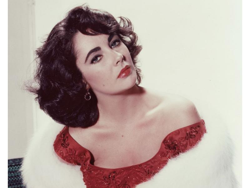 kiểu mày đẹp nhất thế giới của Elizabeth Taylor