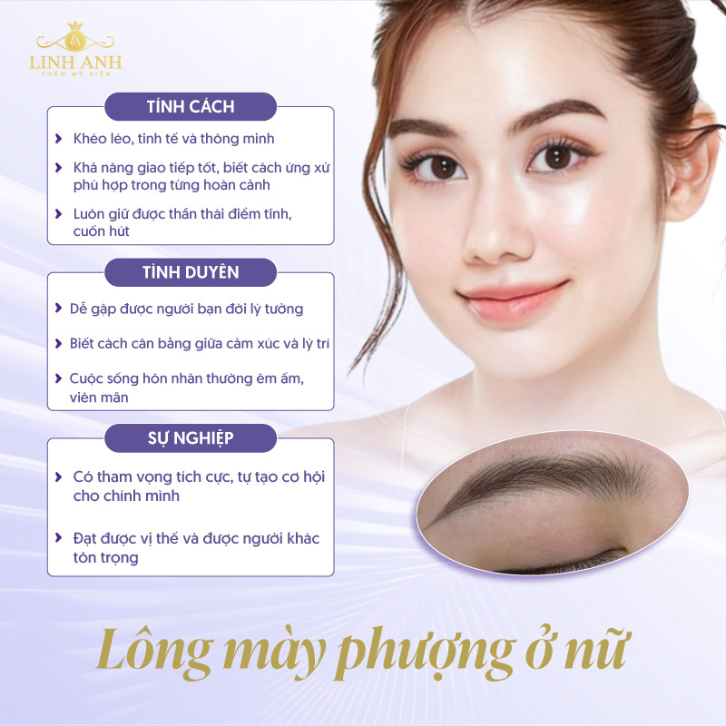 lông mày phượng có hình dáng thế nào