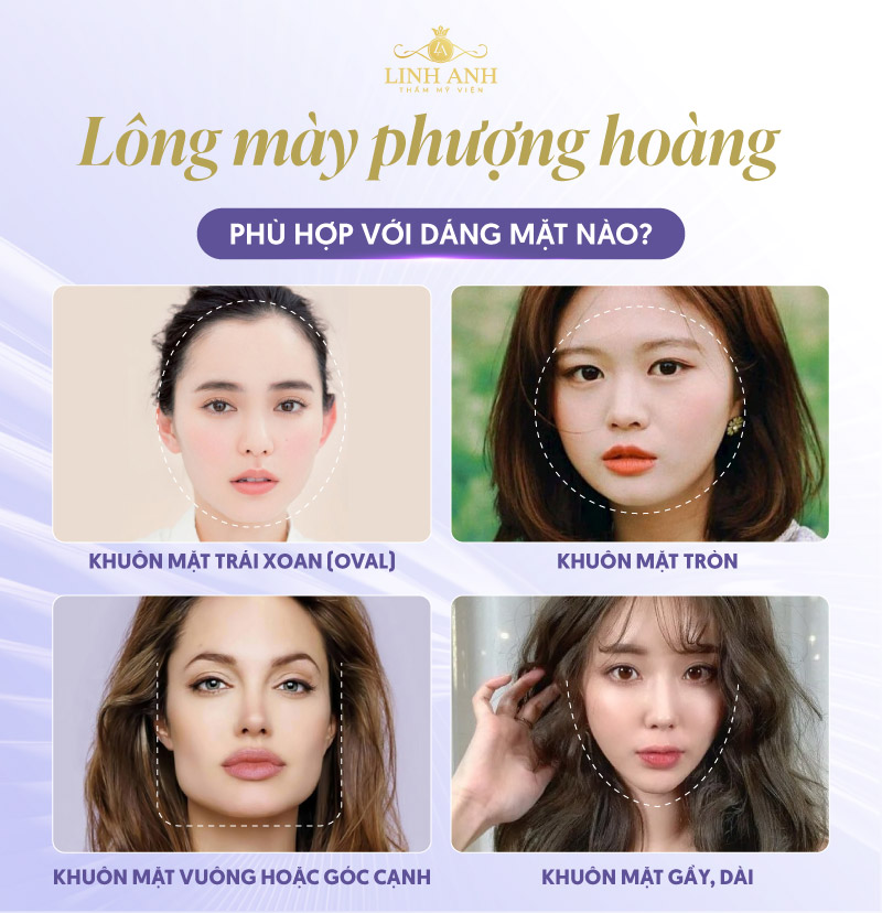 lông mày phượng hoàng là gì