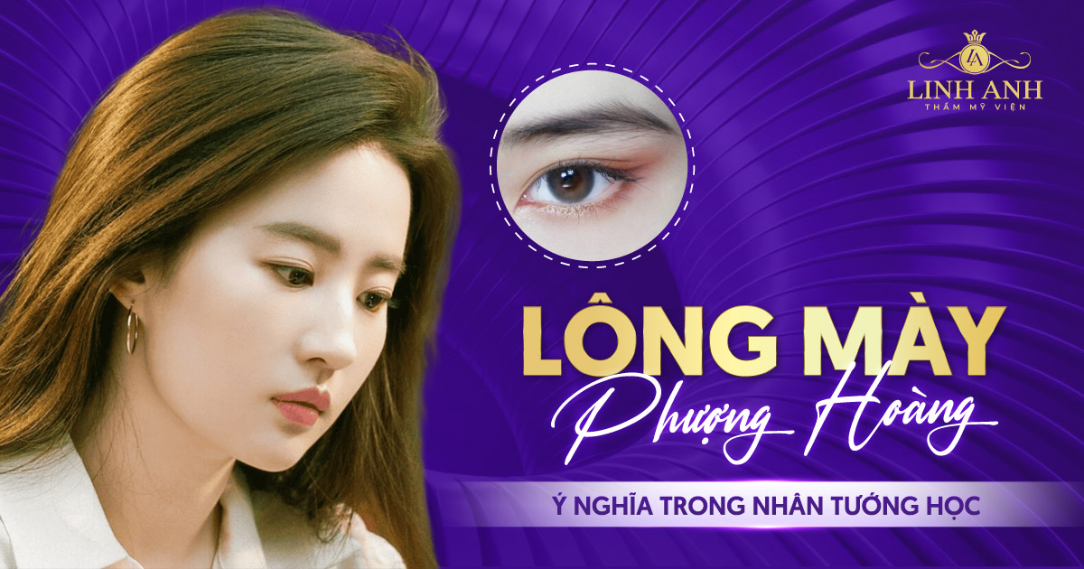 Lông mày phượng hoàng là gì? Ý nghĩa trong nhân tướng học
