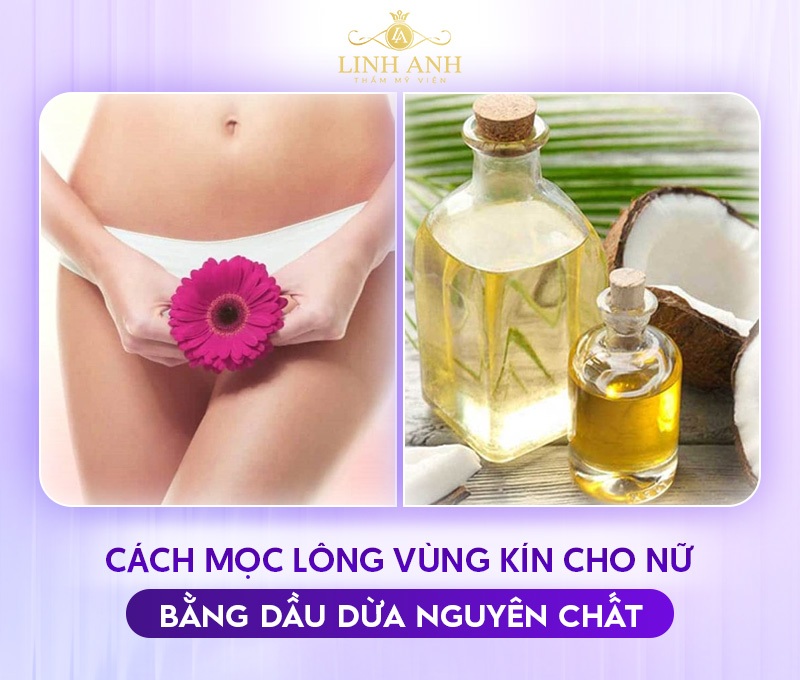 Cách mọc lông vùng kín cho nữ bằng dầu dừa Cách mọc lông vùng kín cho nữ bằng dầu dừa