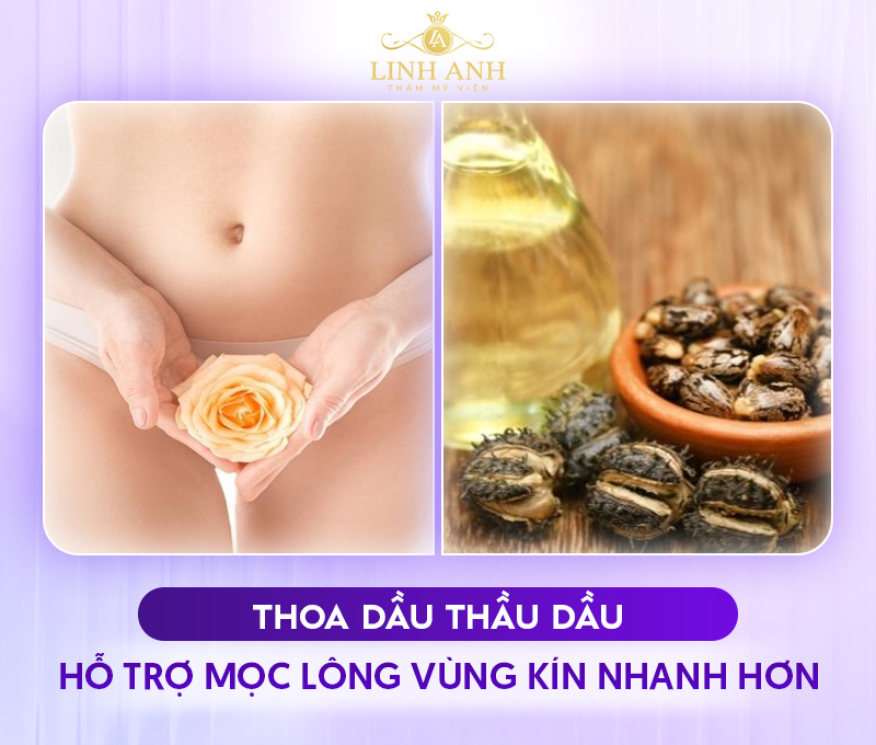 Cách mọc lông vùng kín cho nữ bằng dầu thầu dầu Cách mọc lông vùng kín cho nữ bằng dầu thầu dầu