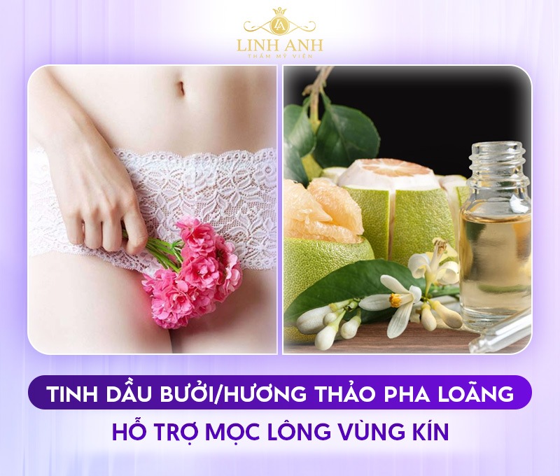 Cách mọc lông vùng kín nhanh cho nữ bằng tinh dầu bưởi Cách mọc lông vùng kín nhanh cho nữ bằng tinh dầu bưởi