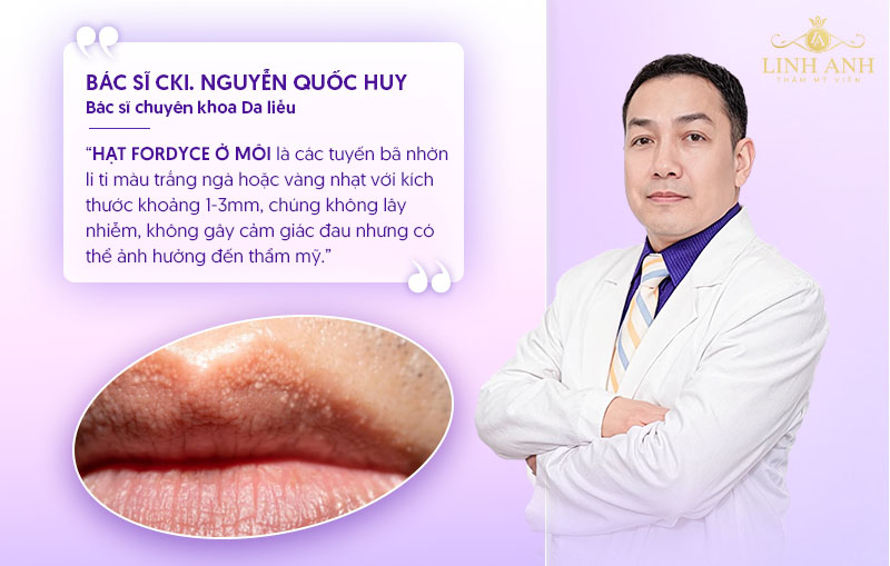 Hạt fordyce ở môi là gì Hạt fordyce ở môi là gì
