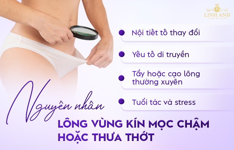 Nguyên nhân lông vùng kín mọc chậm Nguyên nhân lông vùng kín mọc chậm