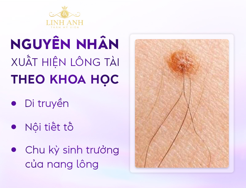 đặc điểm lông tài đặc điểm lông tài