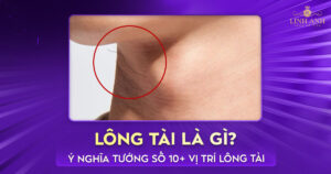 lông tài