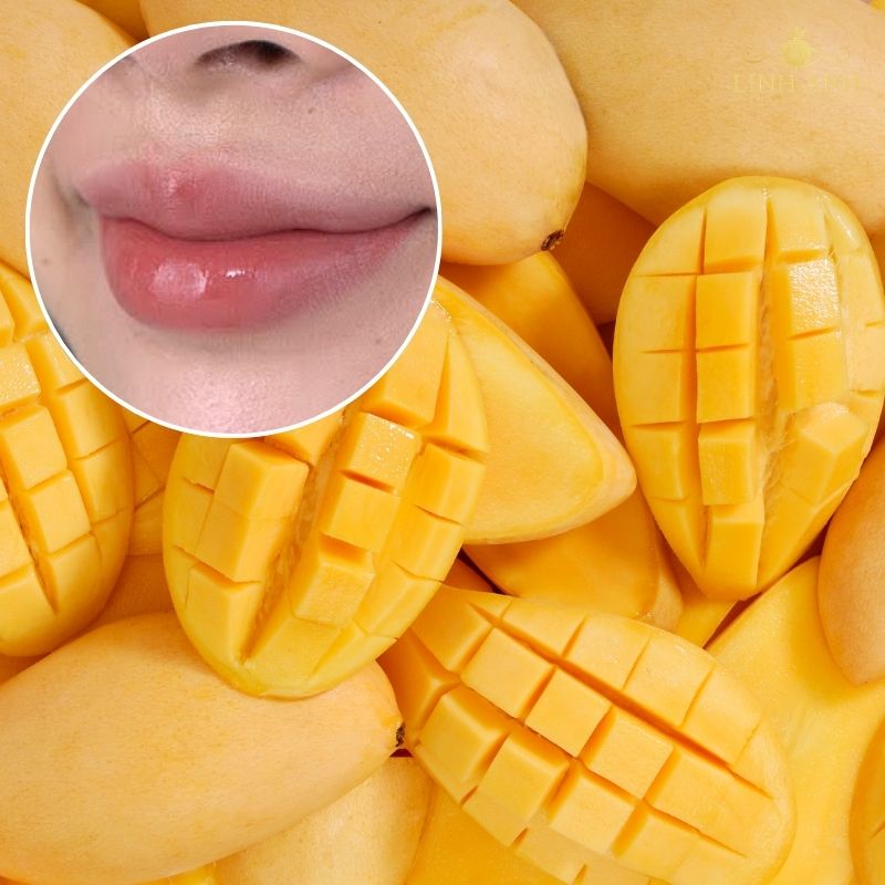 Xăm môi xong ăn trái cây gì được