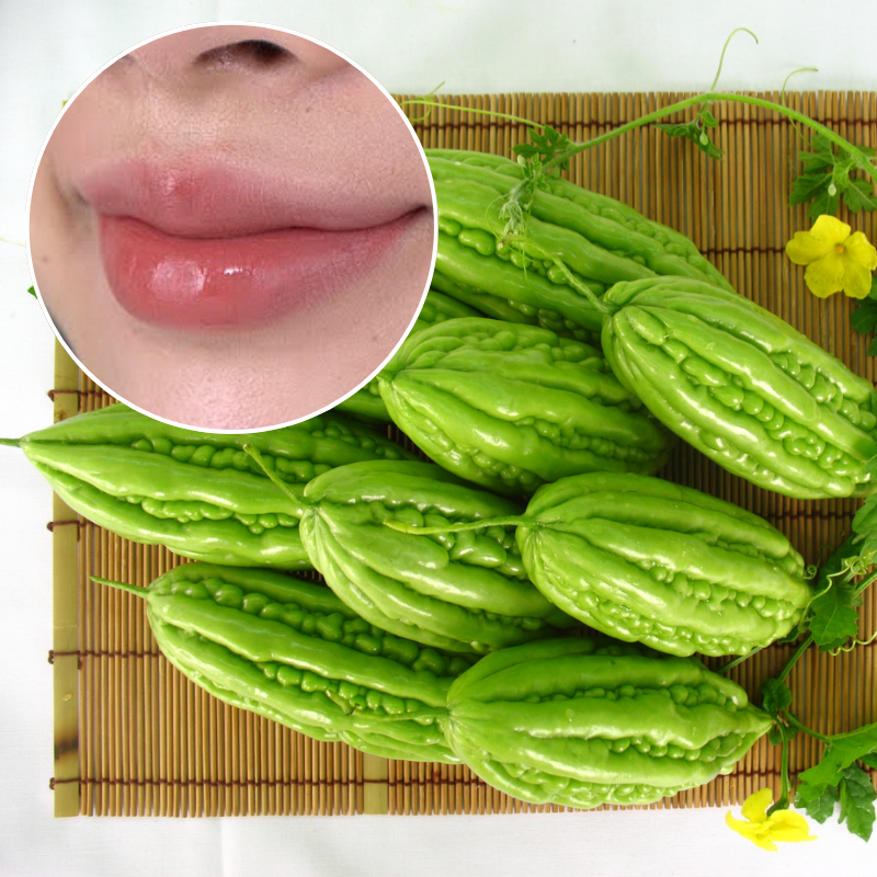 Chọn mướp đắng tươi để ăn sau phun môi