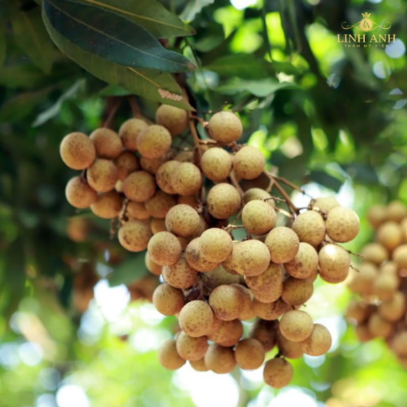 Ngoài mít còn có nhãn không ăn được sau phun môi