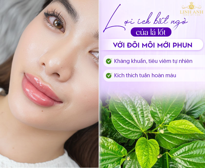 Xăm môi ăn lá lốt được không
