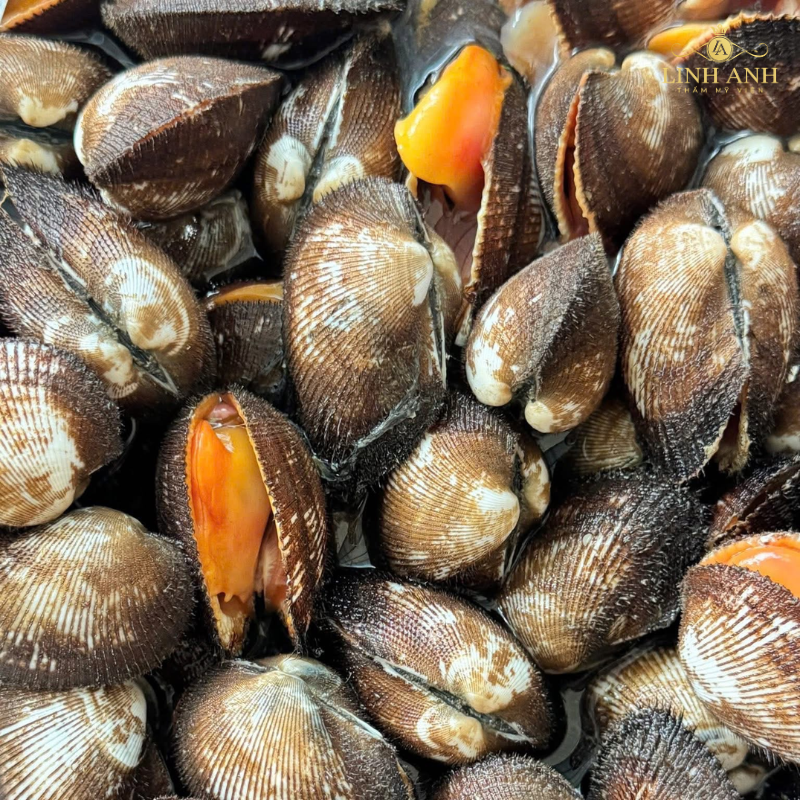 Xăm môi ăn sò lông được không