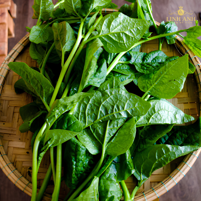 Rau mồng tơi duy trì độ ẩm cho môi phun