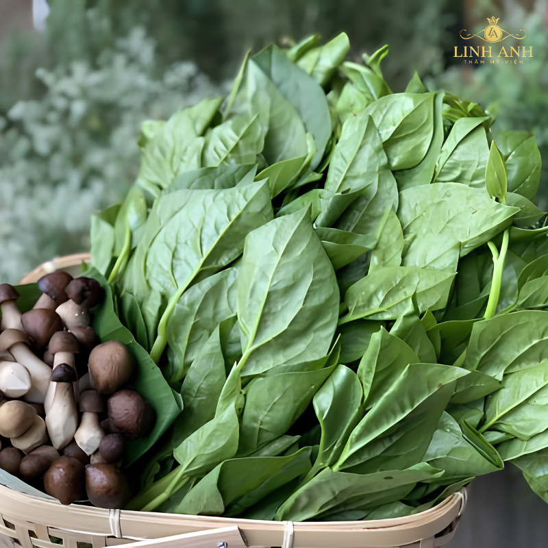 Chọn rau mồng tơi tươi ăn sau khi phun môi