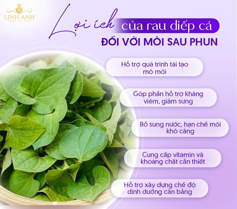 Xăm môi ăn rau diếp cá được không