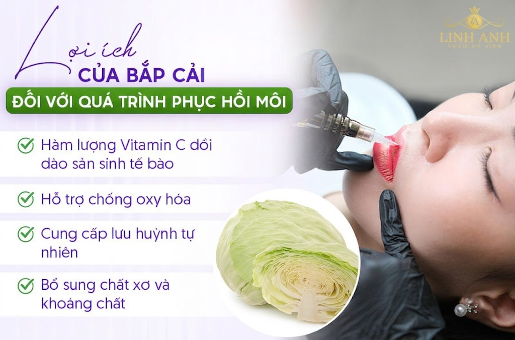 Phun môi ăn bắp cải được không