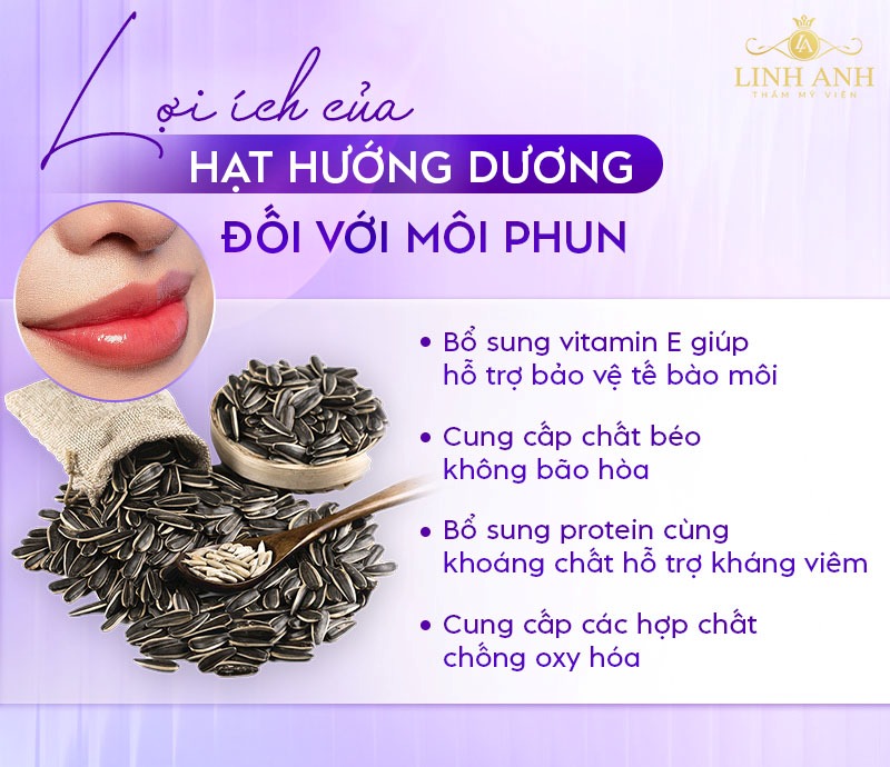 Phun môi ăn hạt hướng dương được không