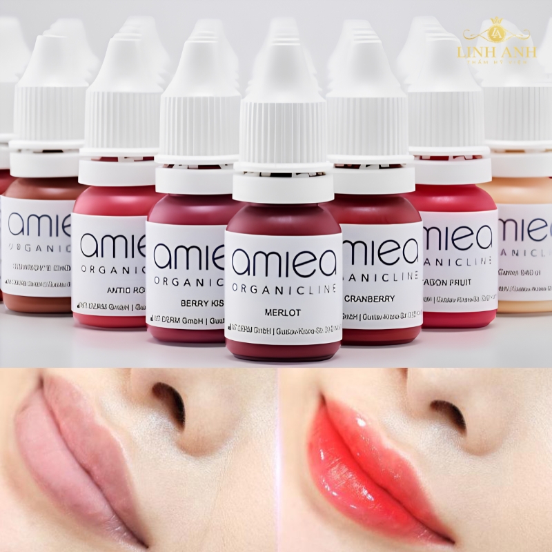 Mực hữu cơ phun môi mày mí Amiea