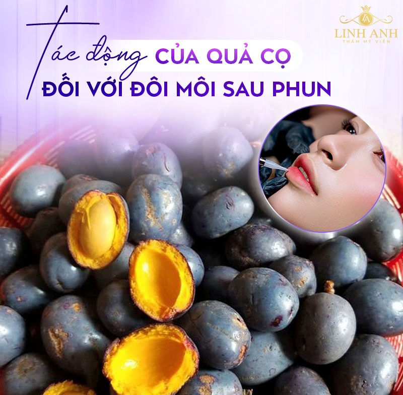 Phun môi ăn quả cọ được không