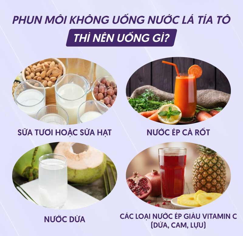 Không uống lá tía tô và nên chọn nước tốt khác cho môi xăm