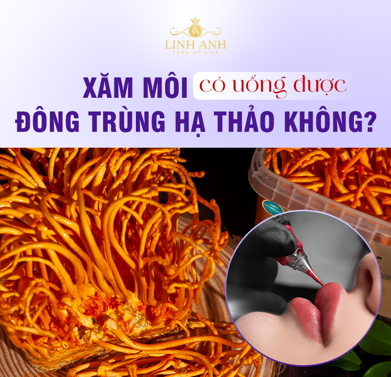 Phun môi uống được đông trung hạ thảo không