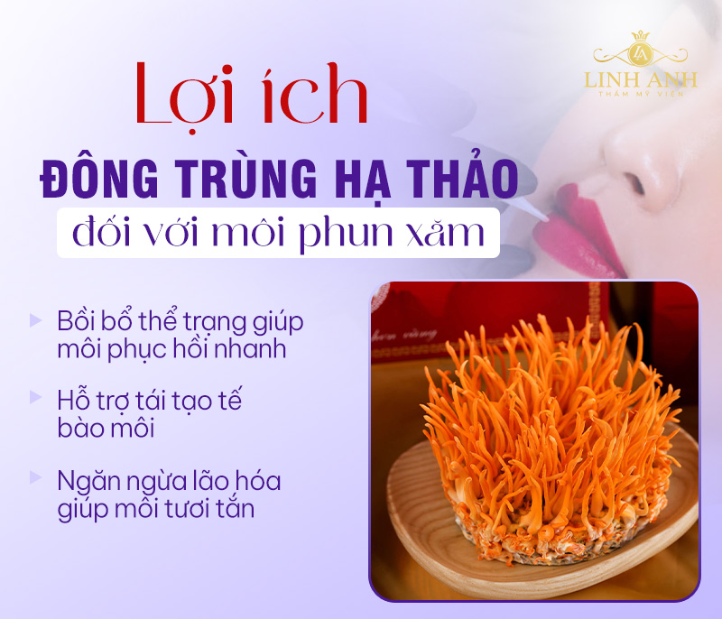 Đông trùng hạ thảo giúp mô môi phục hồi tốt
