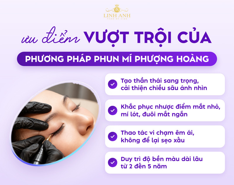 Phun Mí Phượng Hoàng Là Gì? Ý Nghĩa Nhân Tướng, Ưu Điểm Và Bảng Giá 8 Các ưu điểm của phun mí phượng hoàng